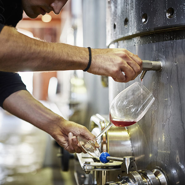 Pouring Wine from Steel Barrel