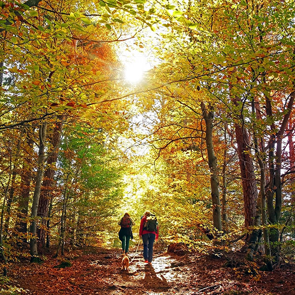 hiking on trail