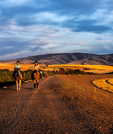 Sunset on Horseback