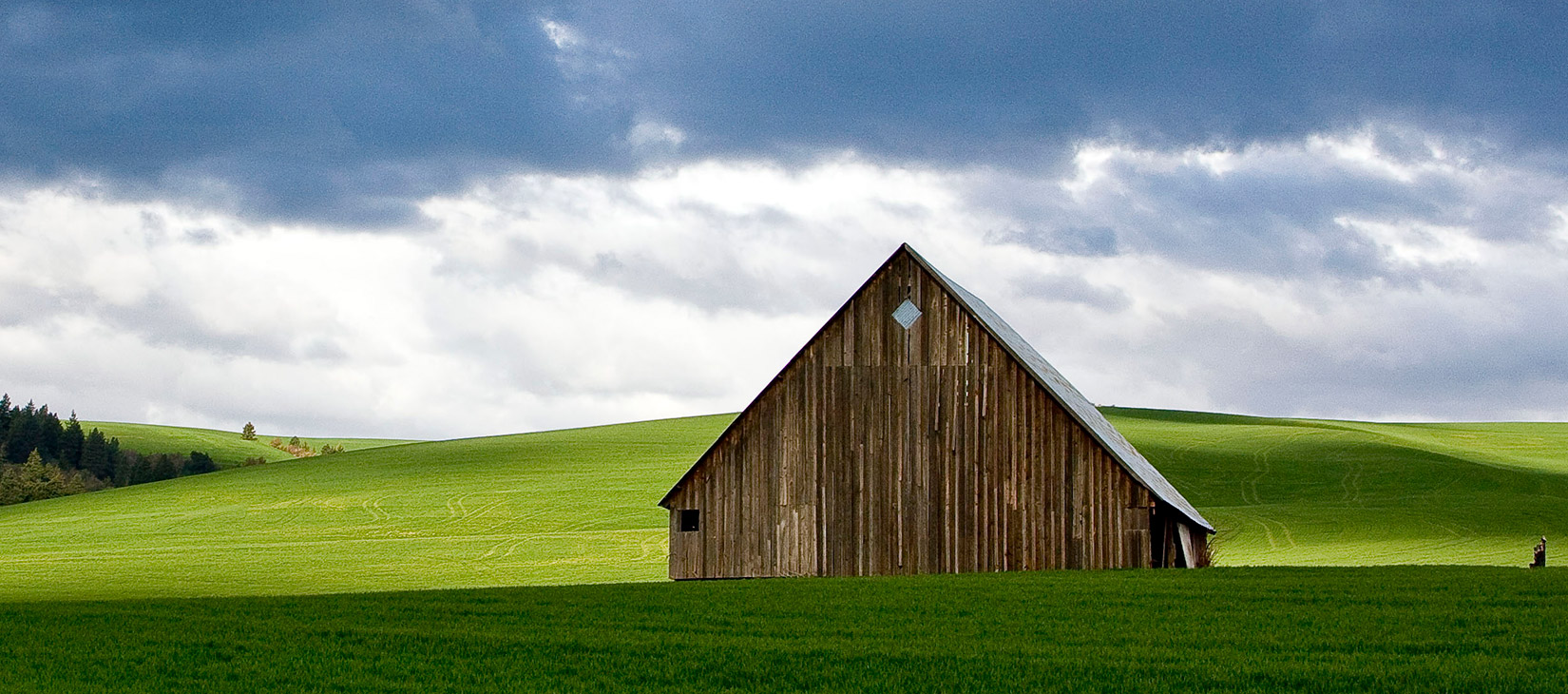 Old Barn in Field